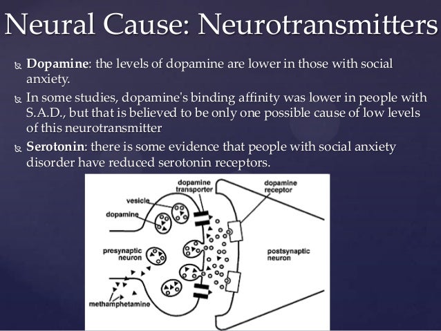 can too much serotonin cause anxiety depression and serotonin receptors